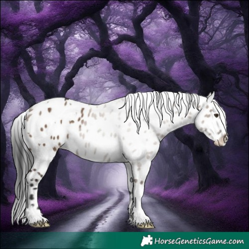 Horse Color:White Spotted Liver Red Dun Appaloosa 
