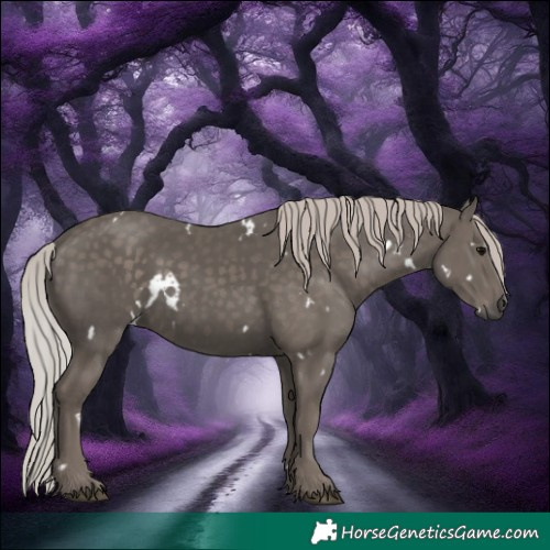 Horse Color:White Spotted Silver Black 