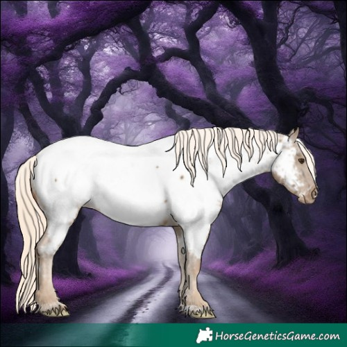 Horse Color:White Spotted Chocolate Palomino Near Fewspot 