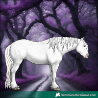 Horse Color:White Spotted Silver Smoky Grullo Mushroom Tobiano Appaloosa 
