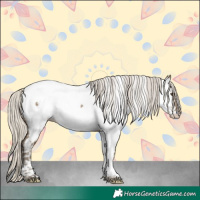 Horse Color:White Spotted Silver Smoky Grullo Mushroom Tobiano Appaloosa 