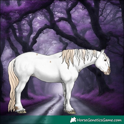 Horse Color:White Spotted Chocolate Palomino Dun Tobiano Near Fewspot 