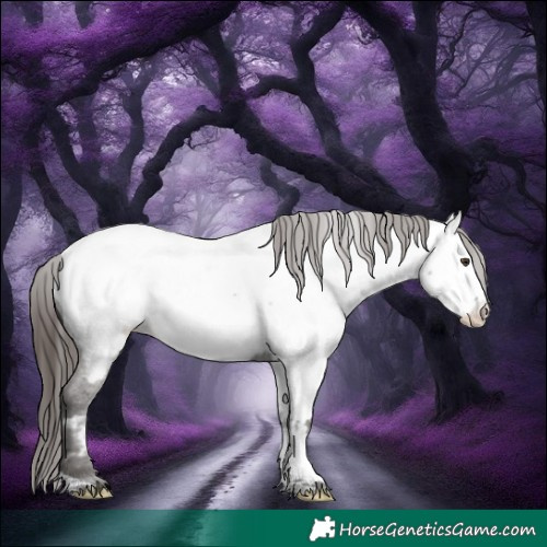 Horse Color:White Spotted Liver Chestnut Tobiano Appaloosa 