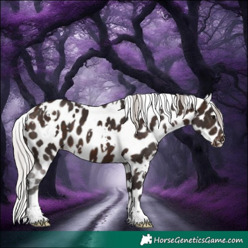 Horse Color:White Spotted Silver Brown Leopard 