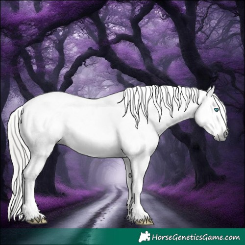 Horse Color:Gray White Spotted Silver Brown Splash Appaloosa Rabicano 