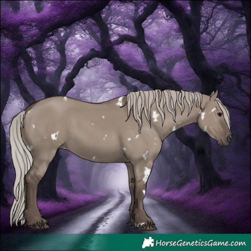 Horse Color:White Spotted Silver Grullo 