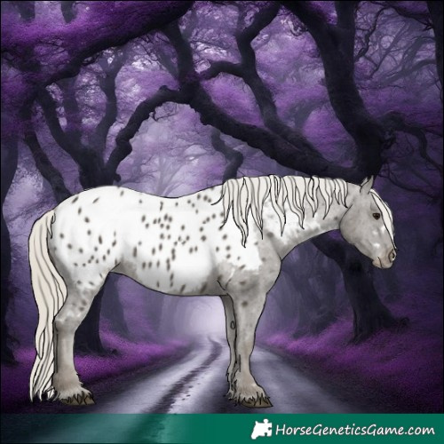 Horse Color:White Spotted Silver Smoky Black Appaloosa 