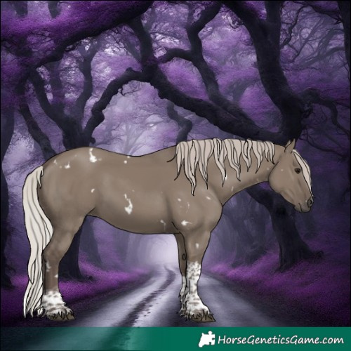 Horse Color:White Spotted Silver Grullo Tobiano 