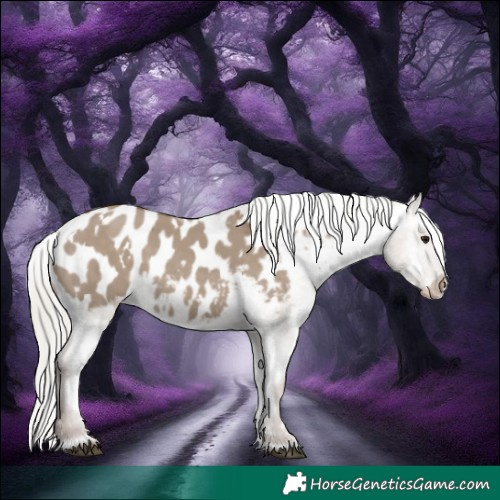Horse Color:White Spotted Silver Grullo Blanket 