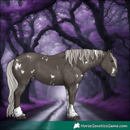 Horse Color:White Spotted Silver Black Tobiano 
