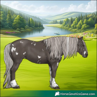 Horse Color:White Spotted Silver Black Tobiano 