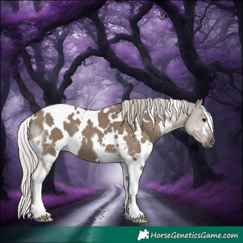 Horse Color:White Spotted Silver Grullo Tobiano 