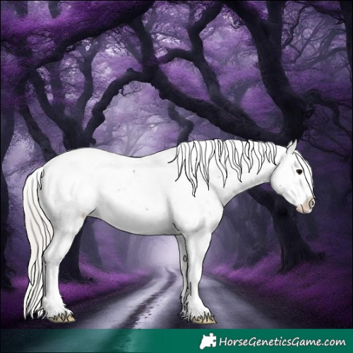 Horse Color:White Spotted Silver Black Tobiano Snowcap 