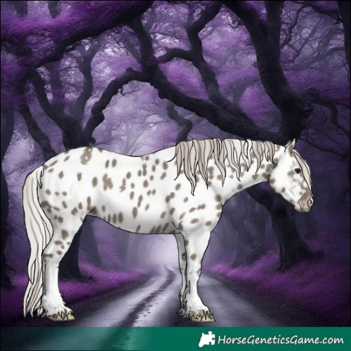 Horse Color:White Spotted Silver Grullo Tobiano Appaloosa 