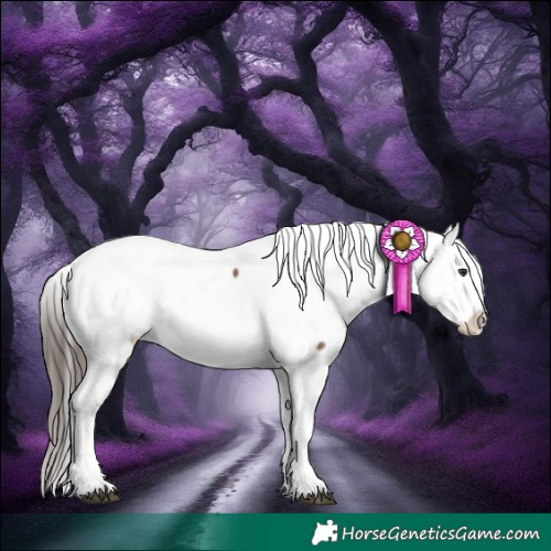 Horse Color:White Spotted Liver Red Dun Appaloosa 