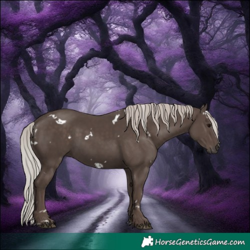 Horse Color:White Spotted Silver Black 