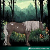 Horse Color:White Spotted Silver Black 