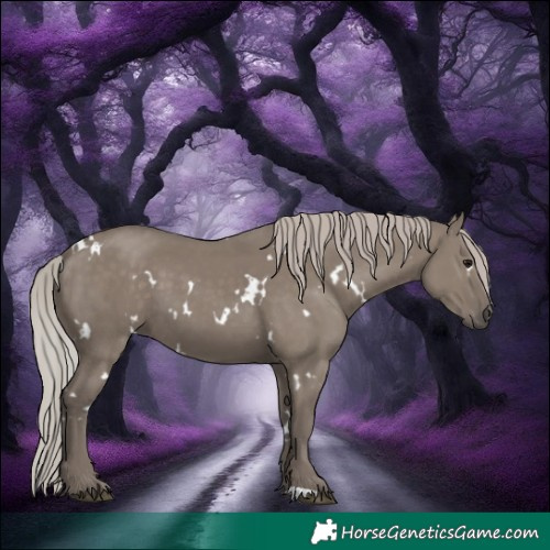 Horse Color:White Spotted Silver Grullo 