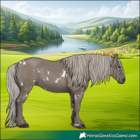 Horse Color:White Spotted Silver Grullo 