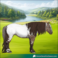 Horse Color:White Spotted Liver Red Dun Appaloosa 