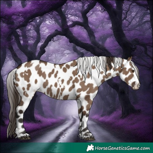 Horse Color:White Spotted Liver Red Dun Leopard 