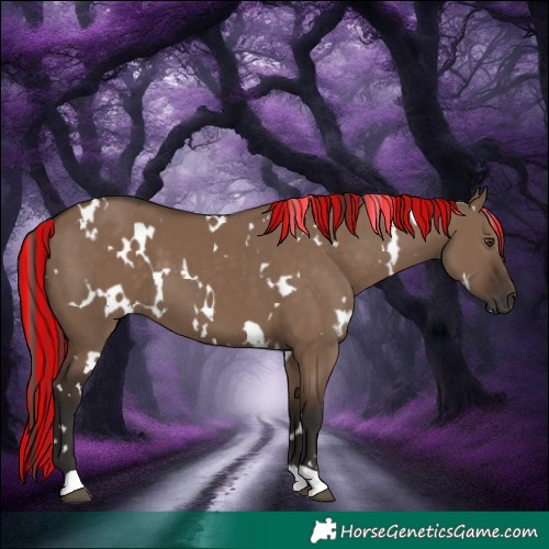 Horse Color:Painted White Spotted Liver Red Dun 