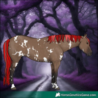 Horse Color:Painted White Spotted Liver Red Dun 