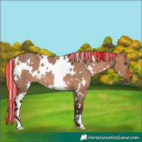 Horse Color:Painted White Spotted Silver Brown Dun 