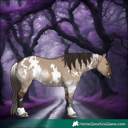 Horse Color:White Spotted Liver Red Dun 