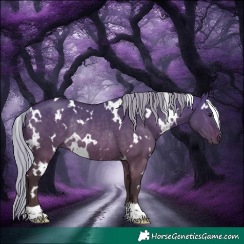 Horse Color:White Spotted Silver Brown Dun Rabicano 