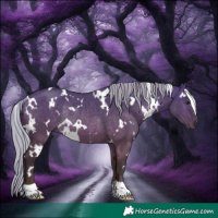 Horse Color:White Spotted Silver Brown Dun Rabicano 