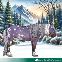 Horse Color:White Spotted Silver Brown Dun Rabicano 