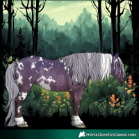 Horse Color:White Spotted Silver Brown Dun Rabicano 
