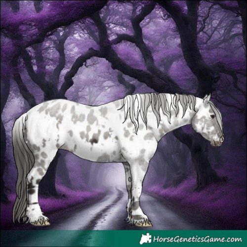Horse Color:White Spotted Liver Chestnut Near Leopard