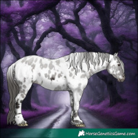 Horse Color:White Spotted Liver Chestnut Near Leopard 
