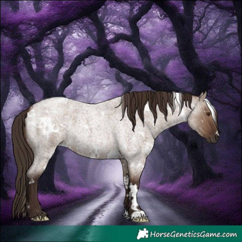 Horse Color:White Spotted Liver Red Dun Roan 