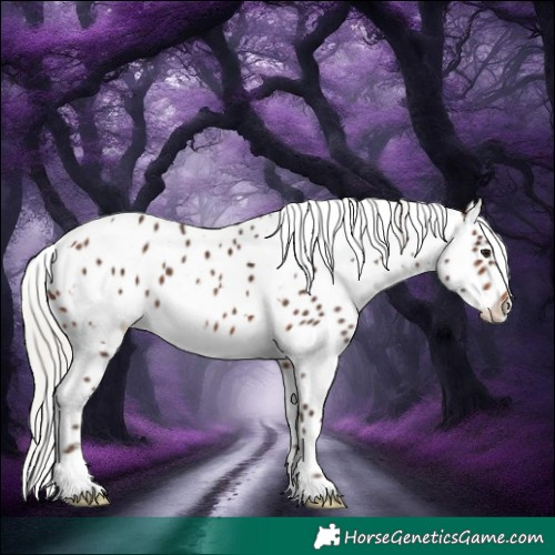 Horse Color:White Spotted Silver Brown Appaloosa 