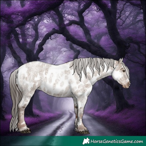 Horse Color:White Spotted Liver Red Dun Roan Appaloosa 