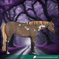 Horse Color:Painted White Spotted Silver Brown Dun 