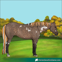 Horse Color:Painted White Spotted Silver Brown Dun 