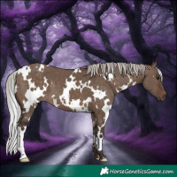 Horse Color:White Spotted Silver Brown Dun 