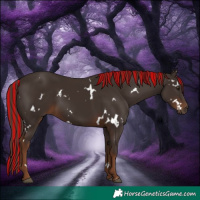 Horse Color:Painted White Spotted Liver Chestnut 