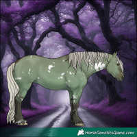 Horse Color:White Spotted Silver Brown Dun 