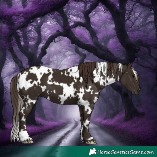 Horse Color:White Spotted Liver Chestnut 