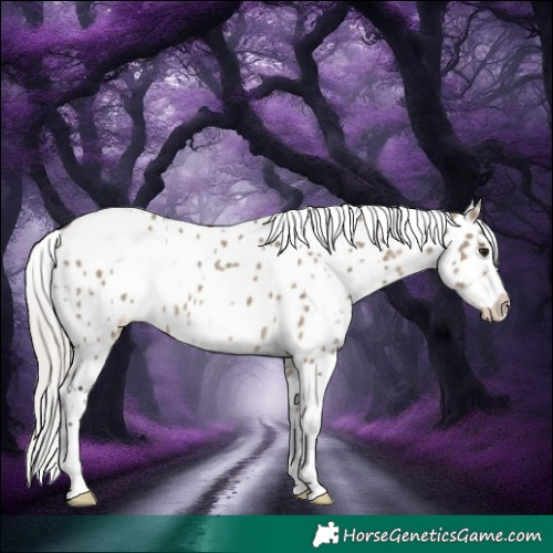 Horse Color:White Spotted Silver Brown Dun Appaloosa Rabicano 