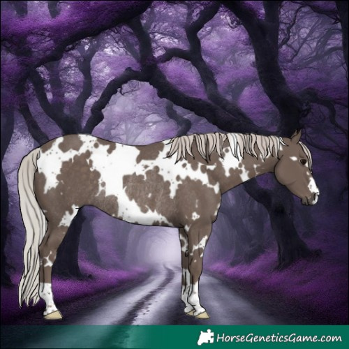 Horse Color:White Spotted Silver Black Mushroom Rabicano 