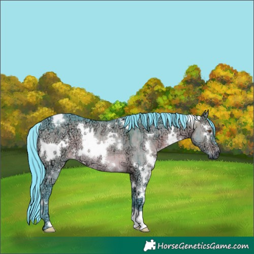 Horse Color:Watercolor White Spotted Brown Ice Dun Rabicano Brindle 
