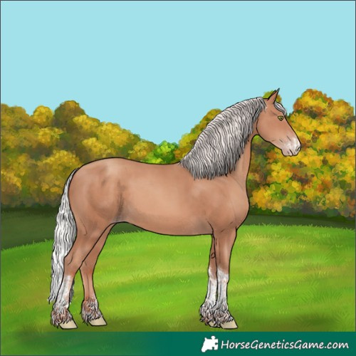 Horse Color:Silver Sable Champagne Sabino Tobiano Rabicano 