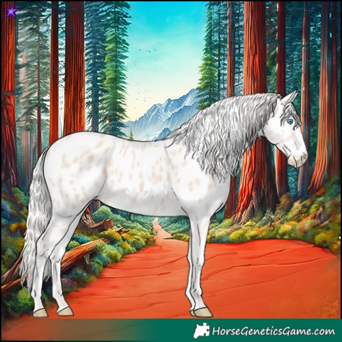 Horse Color:Cremello Appaloosa
