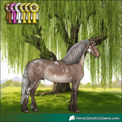 Horse Color:White Spotted Silver Brown Dun Mushroom Rabicano 